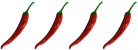 Chilli4